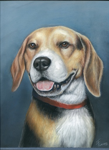 Dog drawing, one subject