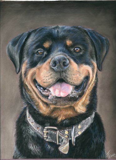 Dog drawing, one subject