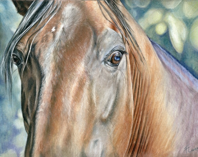 Horse drawing, one subject