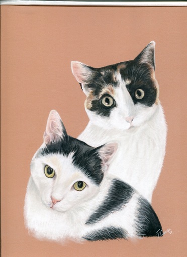 Two cats drawing, two subjects