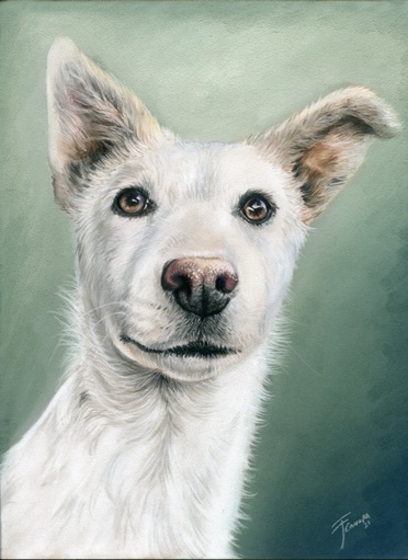 Dog drawing, one subject