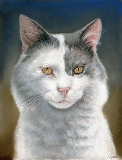 Cat drawing, one subject