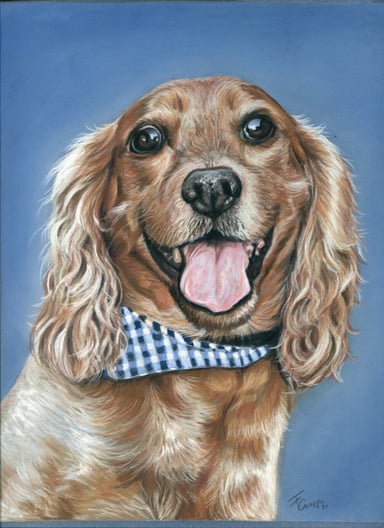 Portrait drawing of Bowie, a dog wearing a blue bandana