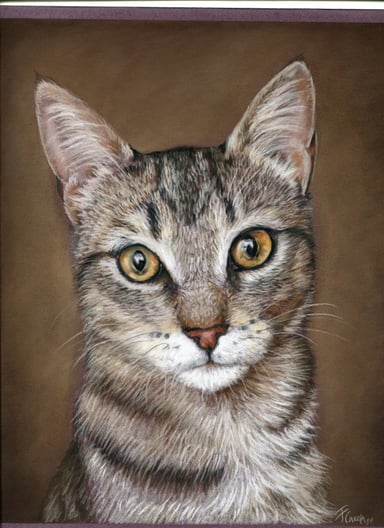 Portrait drawing of Briso, a tabby cat