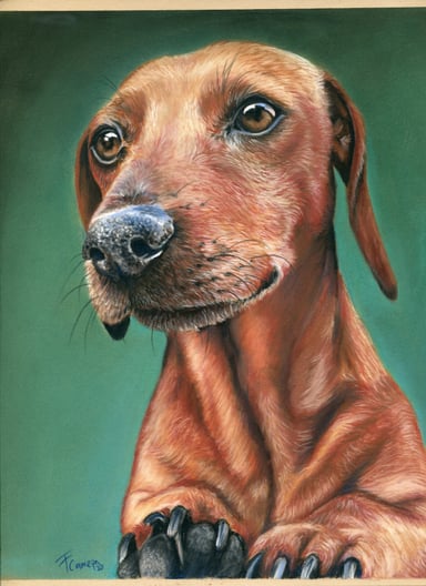 Dog drawing, one subject
