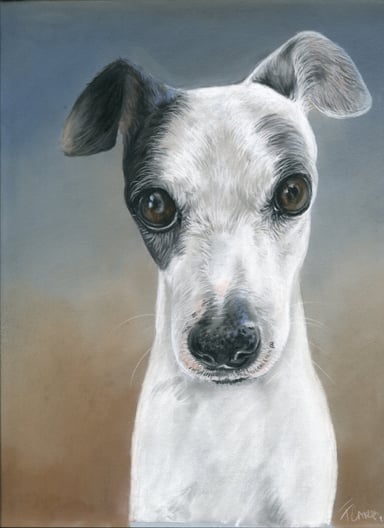 Dog drawing, one subject