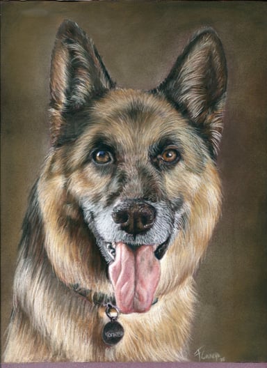 Dog drawing, one subject