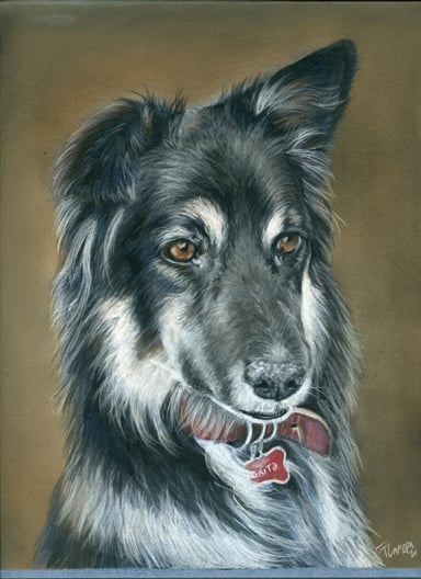 Dog drawing, one subject