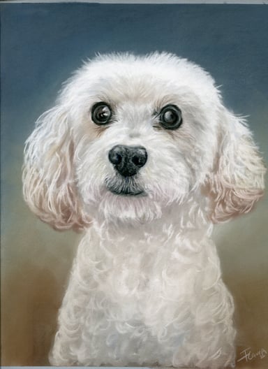 Dog drawing, one subject