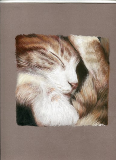 Cat drawing, one subject