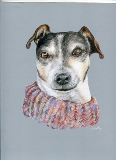 Dog drawing, one subject