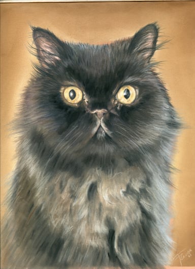 Cat drawing, one subject