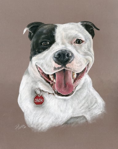 Dog drawing, one subject
