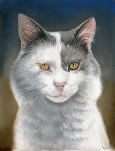 Cat drawing, one subject