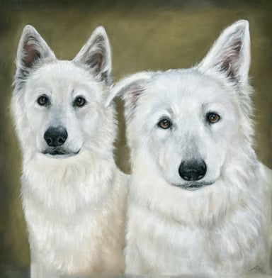 Portrait drawing of Sammy and Benito, two white dogs